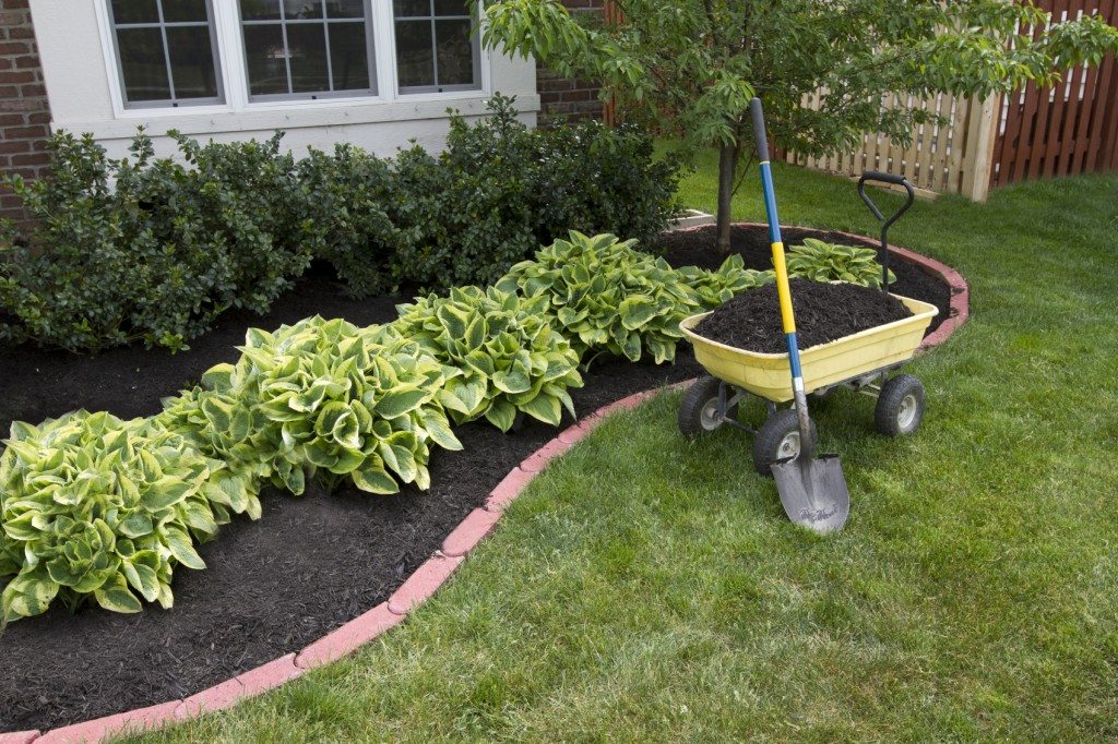 Mulch - American Tree and Lawn